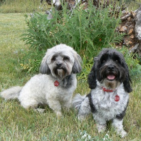 Gus and Mikey in CO - 2 - resized