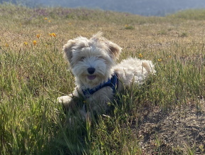 Ted in NorCal in field